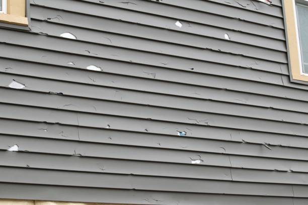 Best Wood Siding Installation  in USA